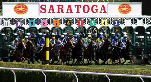Saratoga Racetrack Entries